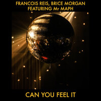 Can You Feel It - François Reis & Brice Morgan & Lineki & Mr Raph
