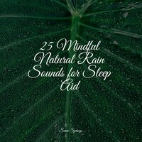 Rain Out Back - Sleepy Night Music & Binaural Beats Brain Waves Isochronic Tones Brain Wave Entertainment & Baby Sleep