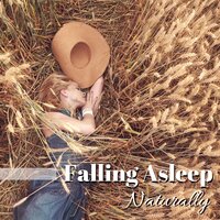 Oriental Strut - Aromatherapy (Nature Sound) - Sleeping Culture