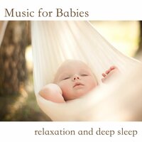 Baby Bear - Mental Baby Orchestra