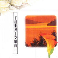 No.8 In A Flat Major:Grazioso E Iento,Ma Non Troppo,Quasi Tempo Di Valse - 新时代轻音乐团