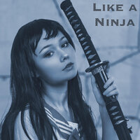 Like a Ninja - Fabvl