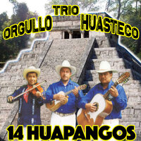 La Antonia - Trío orgullo Huasteco