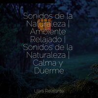 Mezcla Fuera De La Noche - Naturaleza & Massagem Coleção de Músicas & Musica Para Dormir y Sonidos de la Naturaleza