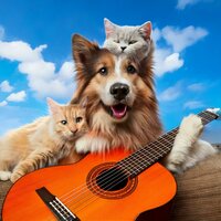 Strings Help Relax Pets - Guitar Masters Group & Music For House Hold Pets & Calm Music for Pets