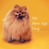 Sublime Space - Dog Music & Music for Dog's Ears & Sleeping Music For Dogs