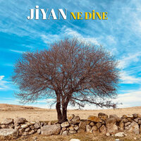 Çu Nebu - Jiyan
