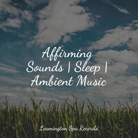 Elixir of Life - Monarch Baby Lullaby Institute & Asian Zen: Spa Music Meditation & Nature Chillout