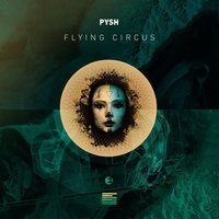 This Is Madness - Pysh
