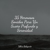 Velas De Viento en El Horizonte - Natureza Musica Bem-Estar Academia & Masaje Tantrico Musica Colección & Sonidos de la Naturaleza Relax
