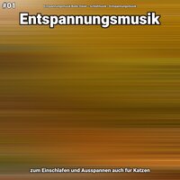 Entspannungsmusik Teil 72 - Entspannungsmusik Bodo Steier & Schlafmusik & Entspannungsmusik
