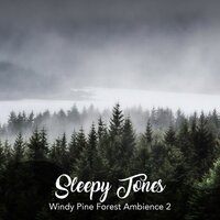 Windy Pine Forest Ambience, Pt. 3 - Jason Rivers