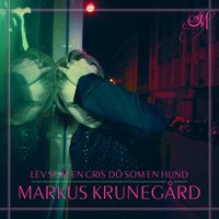 Prinsessan av Peking - Markus Krunegård