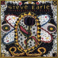 Steve's Last Ramble - Steve Earle
