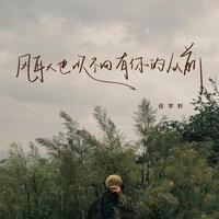 风再大也吹不回有你的从前 - 任宇轩