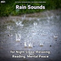 Matchless Rain Sounds - Rain Sounds & Relaxing Spa Music & Rain Sounds by Angelika Whitta