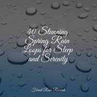 Medium Rain - Soothing Nature Sounds & Tibetan Singing Bowls for Relaxation & Meditation Music Experience