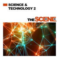 Component Level - The Scene