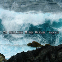 Из океана - Water Sound Natural White Noise