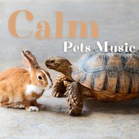 Music for Pets - Jazz Music for Dogs & Jazz Music for Cats & Jazz Pets Relax