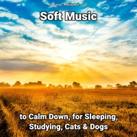 Relaxing Music - Deep Sleep & Relaxing music & Yoga