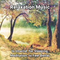 Relaxation Music, Pt. 70 - Relaxing Music by Vince Villin & Yoga Music & Relaxing Spa Music