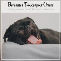 Soirée d'été - RelaxMyDog & Dog Music Dreams & Pet Music Therapy