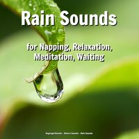 Curing Rain Sound - Nature Sounds & Rain Sounds & Regengeräusche