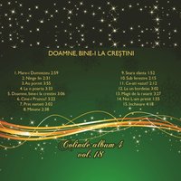 Inchinare - Ovidiu Liteanu