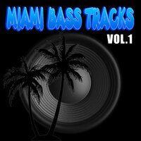 Party People - Miami Bass Tracks & DJ Richie Rich