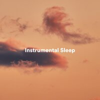 Shakti - Thai Massage Music & Calm music & Instrumental Sleeping Music
