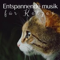 Autogenes Training - Meditationsmusik Akademie