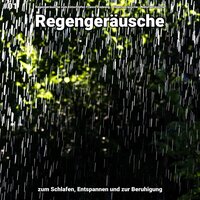 Regengeräusche, pt. 43 - Regengeräusche zum Einschlafen Franco Rodewig & Regengeräusche & Naturgeräusche