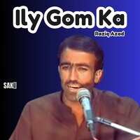 Jee Nana Leedar - Raziq Azad