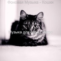 Настроения (Дрессировка кошки) - Музыка для кошек Ретро