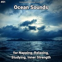 Ocean Sounds Part 84 - shoreline sounds & Nature Sounds & Ocean Sounds