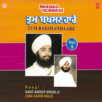 Man Rata Gobind Sang - Sant Anoop Singh Ji
