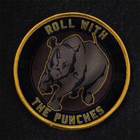 Burning Bridges - Roll With The Punches