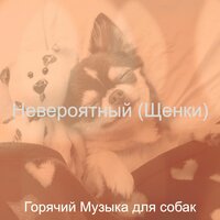 Настроения (Щенки) - Горячий Музыка для собак