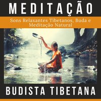 Música Terapêutica Tibetana - Luiz Natureza dos Reis
