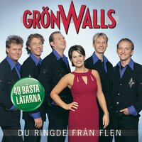 En evig sommar - Grönwalls