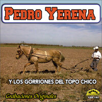 Mis Ojos Me Denuncian - Pedro Yerena