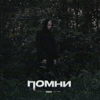 Ошибка - NORTHWOOD