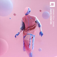 What You Want - Seumas Norv