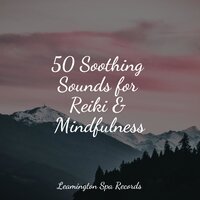Summer Calm - Nature Chillout & Sleep Tight & Natureza