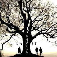 Deeply Rooted - Last