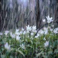 The Summer's Dry Thunderstorm - Baby Sleep Aid & White Noises and White Noise Alternatives & Sleepy Time Rainfall & Asleep in the Rain & Sleepy Time Sounds & Sleepy Spa