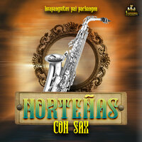 Cumbia Espacial - Huapangos Norteños & NORTENAS CON SAX