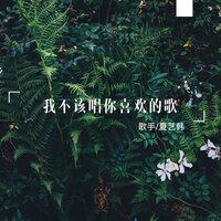 我不该唱你喜欢的歌 - 夏艺韩