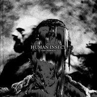 Reclaim - Human Insect & Automatic Response
